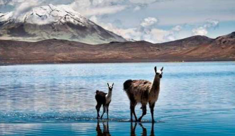 Esplorazione di Arequipa